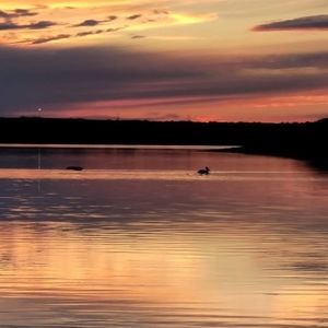 Meet your Posher, Ronald